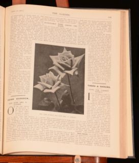 1912 2vol The Garden Illustrated Volume LXXVI Edited by F Harvey