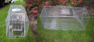 Humane Live Animal Trap for Cats Dogs Possum Racoon