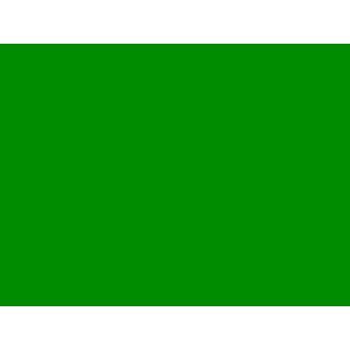 Green Epiphone Les Paul Kit Musical Instruments