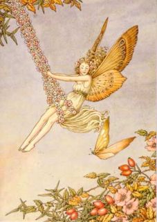 Ida Rentoul Outhwaite Fairy Greeting Cards Folio Faerie