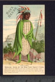 Indian Corn Rices Seeds Cory Seed Corn Veggie People Victorian Adv