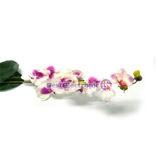 28 White Silk Orchid Flower Plant Wedding Decoration