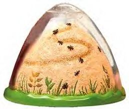 Insect Lore Ant Hill Live Ants Farmtunneling Habitat
