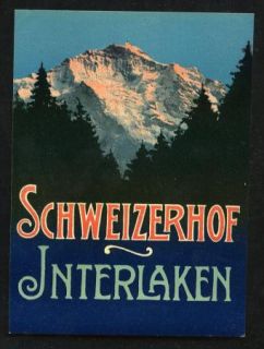1930s Schweizerhof Interlaken Switzerland Luggage Suitcase Decal