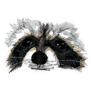 Awesome Raccoon Coon Eyes Eye Iron on Patch