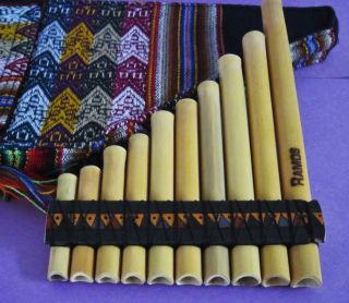 PROFESSIONAL ANTARA ANDEAN PAN FLUTE 10 PIPES  CASE INCLUDED ITEM IN