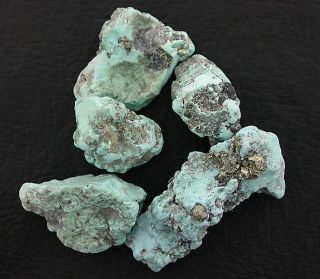 Blue Sonoran Turquoise Pyrite Rough Gem Stone Gemstone Specimen 18