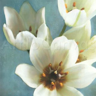 54x27 Lily Parfait I II Set Janel Pahl Floral 2 Canvas