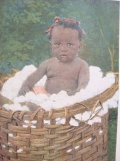 1917 Black Americana Happy South Negro Life Dixie Postcard Book 22