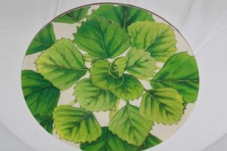 John Derian Target Assorted Botanical Leaf Dinner Plate