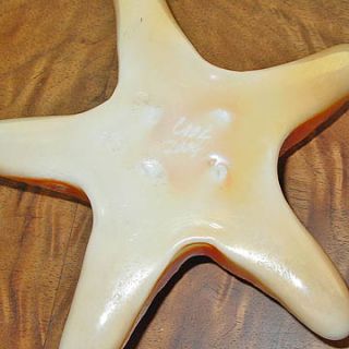 John Cook Orange White Hand Made Art Glass Starfish