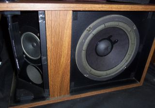 Bose 301 Series I Main Stereo Speakers Original Box Near Mint Condition  