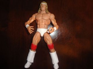 Mattel Legends Texas Tornado Kerry Von Erich WWE Figure Elite Exclusive Custom  