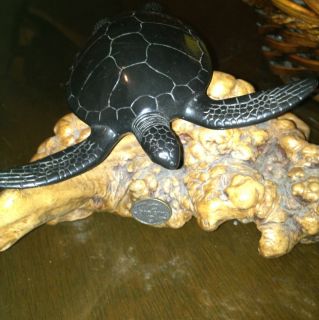 John Perry Black Onix Turtle  
