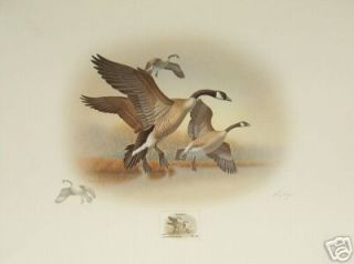 A1 Ronald Louque Duck Stamp Prints Honkers Pintails