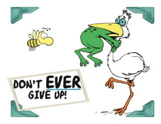 Custom Made Tee Shirt DonT Ever Give Up Pelican Bird Frog Neck Funny