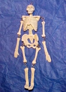 Dollhouse Mini Jeanetta Kendall Human Skeleton Model