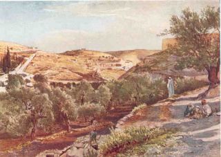 Middle East Upper Kidron Valley Vintage Print 1912 Israel