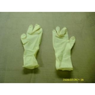 Kimberly Clark 50504 Latex Exam Gloves x Large 159562