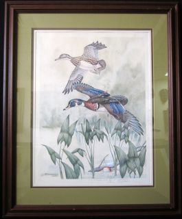 Landenberger Pair of PERCHING Ducks Framed Print of Watercolor