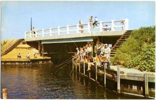 Crabbing at The West Point Island Bridge Lavallette NJ 1955