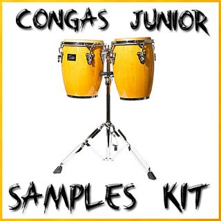 Congas Conga Junior Latin Percussion Reason Kontakt Logic SF2