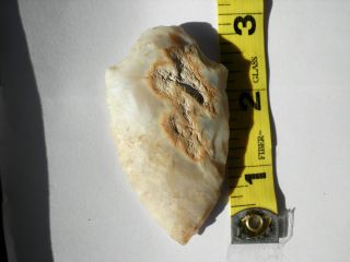 Florida Native American Arrowheads Artifacts 2 5/8 Sumpter, Coral