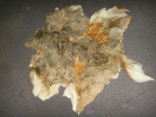 Tanned Whitetail Deer Hide Craft Skin Missing Hair Teepee Rug Mountain