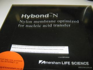 Amersham Life Science Hybond N 82mm NIB
