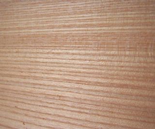 11 Honey Locust Carving Turning Wood Stock Bowl Blank