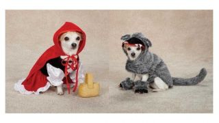 Little Red Riding Hood Big Bad Wolf Costumes for Dogs Halloween Dog