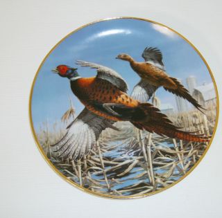 David Maass Pheasant Plate Numbered Tandem Flight Danbury Mint Wild