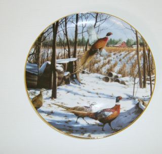 David Maass Pheasant Plate Numbered A Winter Rainbow Danbury Mint Wild