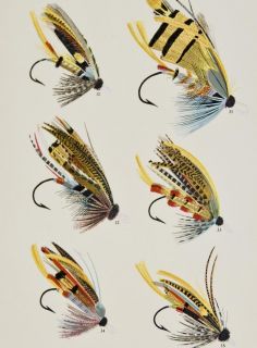 Marbury 1892 Fishing Flies Print Salmon Flies