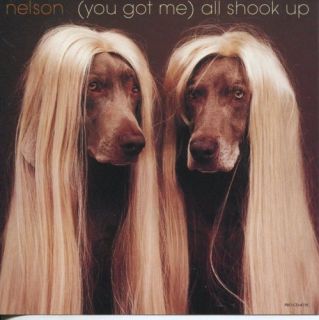 Matthew Gunner Nelson All Shook Up Promo CD Single