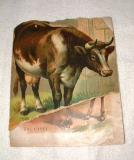 McLoughlin Bros Book Animal Pictures Early 1900S