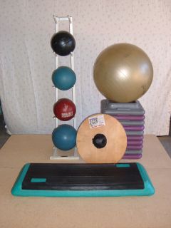 Medicine Balls with Rack Balance Ball Steps and 10 Risers and Wobble