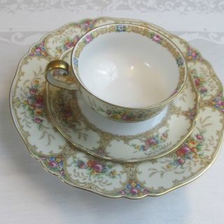 Fine Bone China Paul Muller Selb The Meadowbrook from Germany