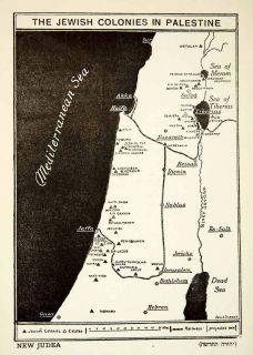 1919 Print Map Jewish Colonies Palestine Middle East New Judea Zionist