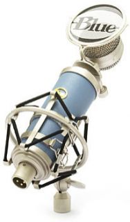 Blue bird Condenser Wireless Professional Microphone