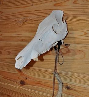 Skull Mount Hanger Hook Bracket for Deer, Antelope, Hogs ETC