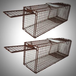Live Animal Trap Skunk Racoon Cat 31x9x11 Cage Rabbit Box