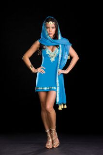 Taj My Hall Halloween Arabian Queen Costume Stunning Dress Set