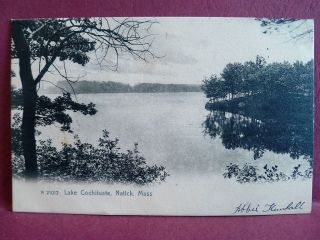 Old Postcard 1906 Lake Cochituate Natick MA