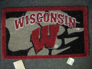 wisconsin badgers in Rugs & Carpets