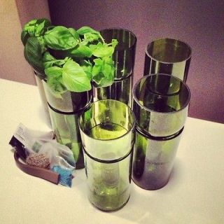 Self Watering Wine Bottle Planter Complete Kit   Grow Basil or Parsley