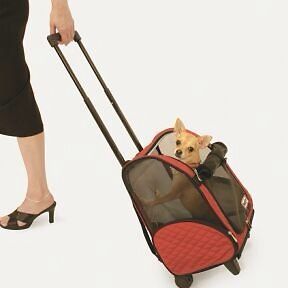 Newly listed Snoozer Roll Around Dog Cat Carrier Red Large New
