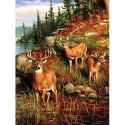 Size Super Plush Whitetail Deer Cabin Mink Style Blanket Cover 79x95