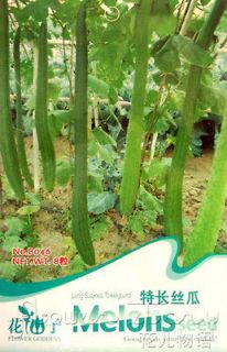 Smooth Luffa ★ Vegetable Seeds Organic Green Nutritious Long Healthy