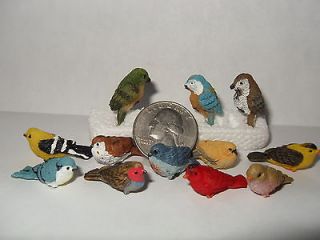 dollhouse miniature BIRDS set of 12 1 birds all different
